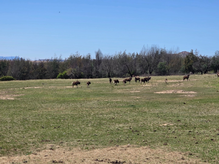 Commercial Property for Sale in Bethlehem Free State